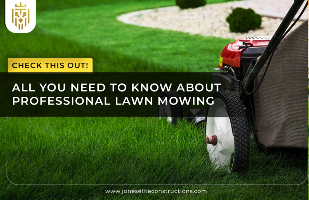 All You Need to Know About Professional Lawn Mowing