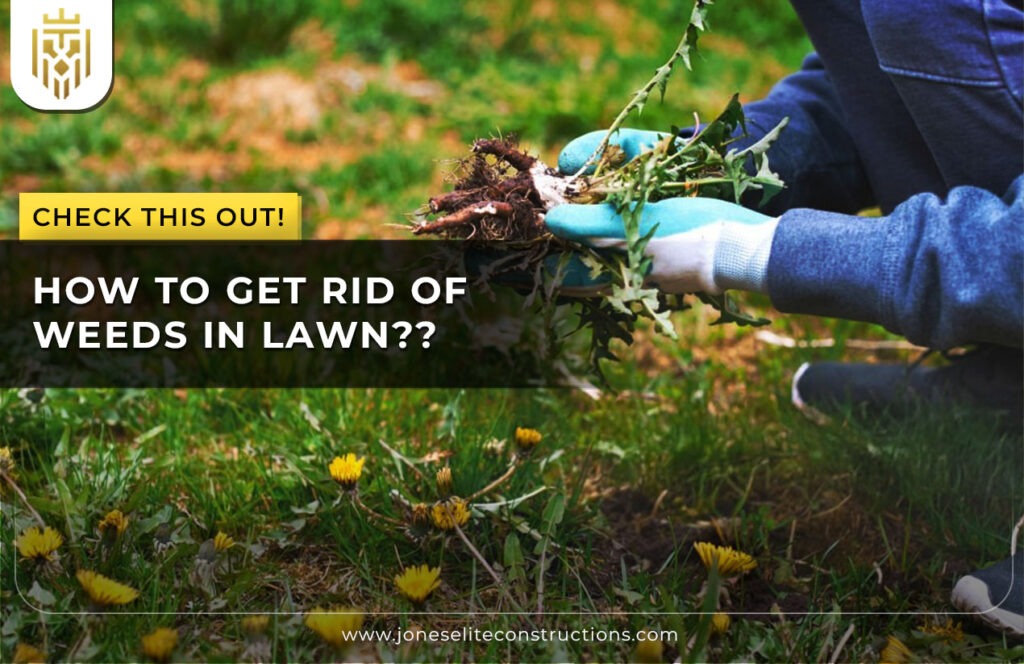 How to Get Rid of Weeds in Lawn