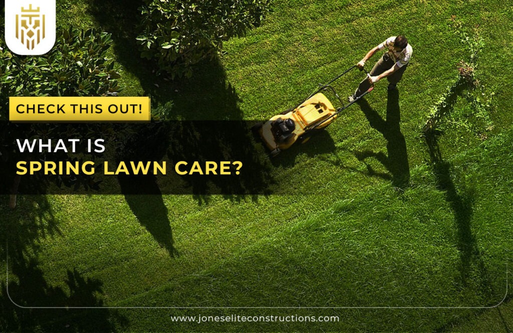 What is Spring Lawn Care