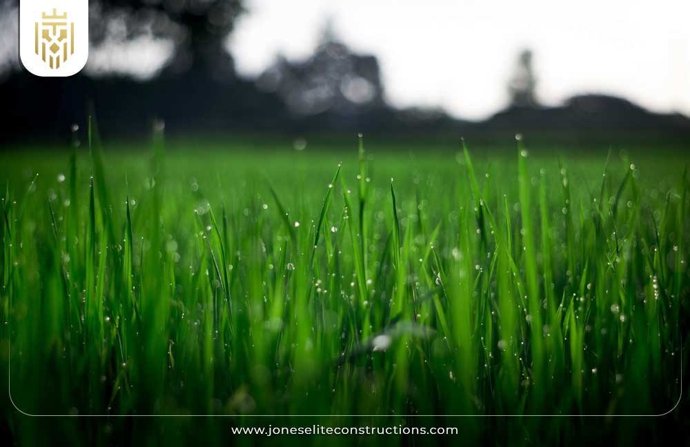 Cool-Season Grasses