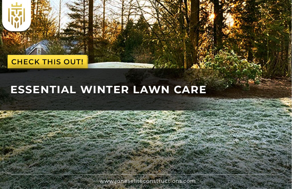 Essential Winter Lawn Care