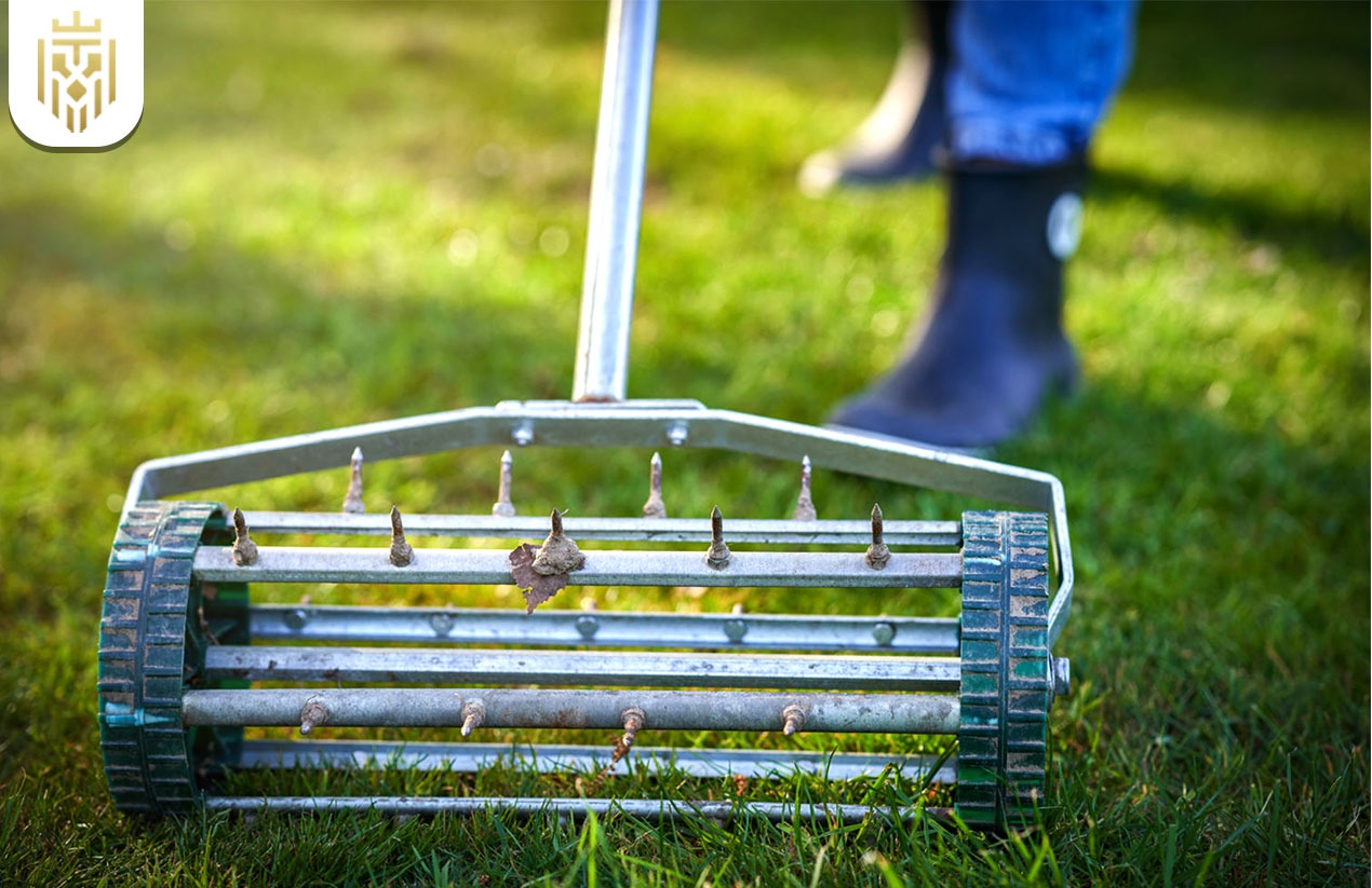 How to Aerate Lawn