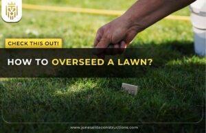 How to Overseed a Lawn