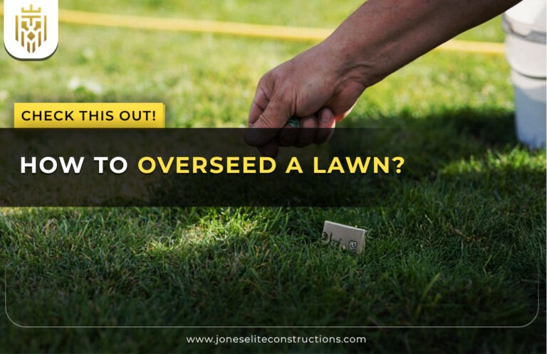 How to Overseed a Lawn
