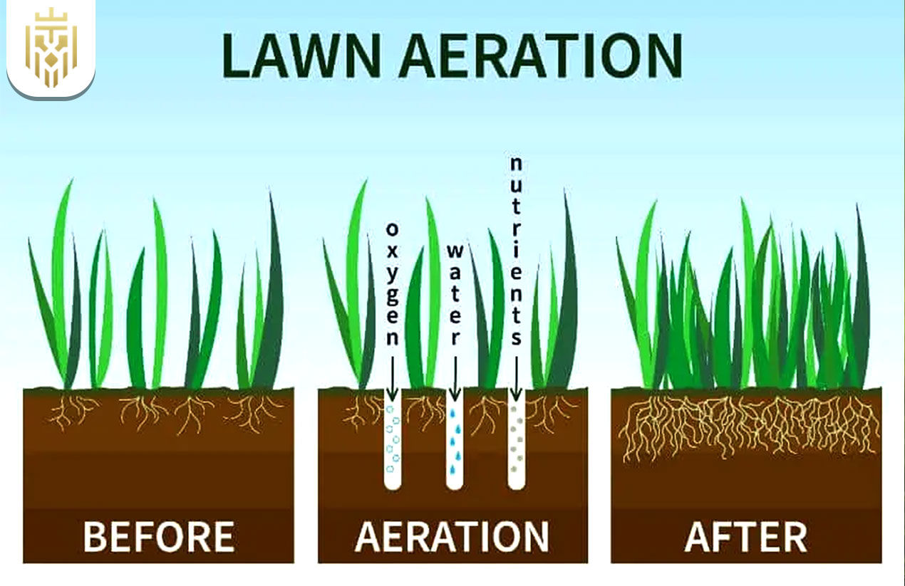 Why Should You Aerate Your Lawn
