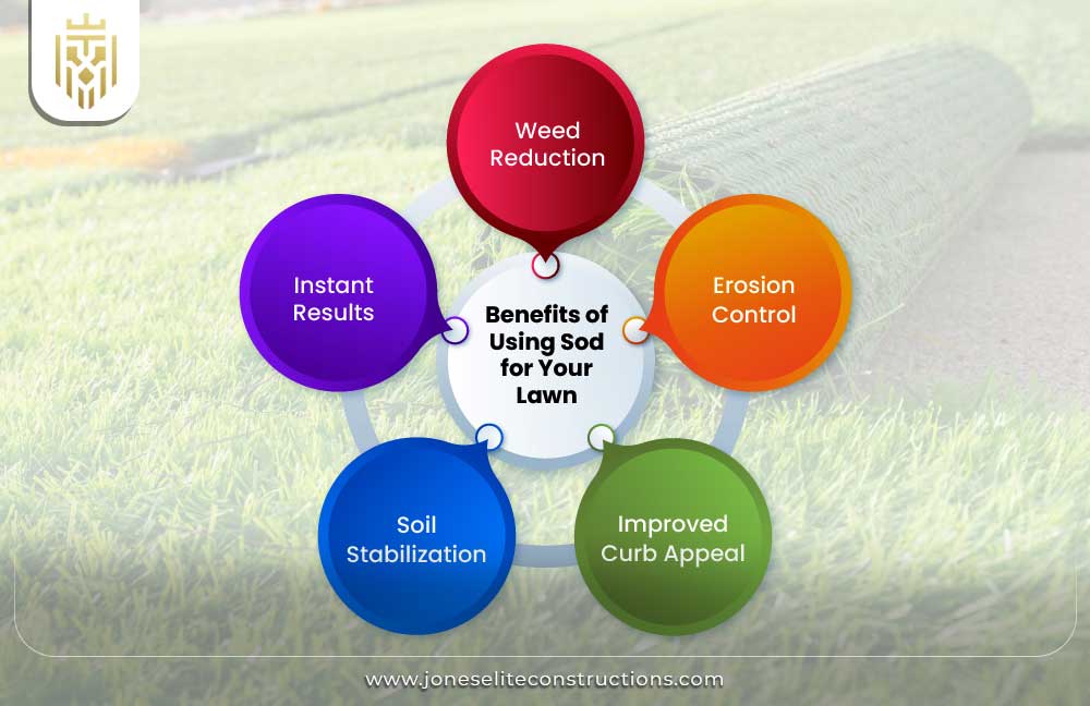 Benefits of Using Sod for Your Lawn