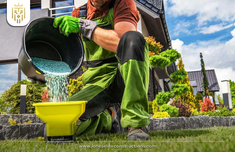 Best Time to Fertilize Your Lawn