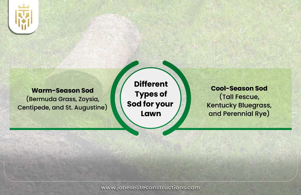 Different Types of Sod for your Lawn
