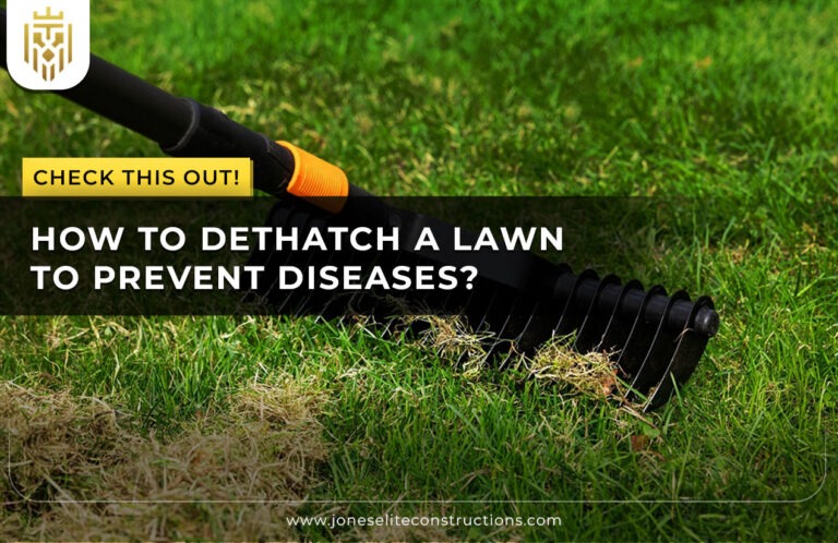 How To Dethatch a Lawn to Prevent Diseases