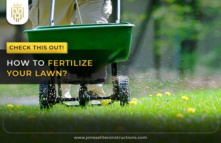 How To Fertilize Your Lawn