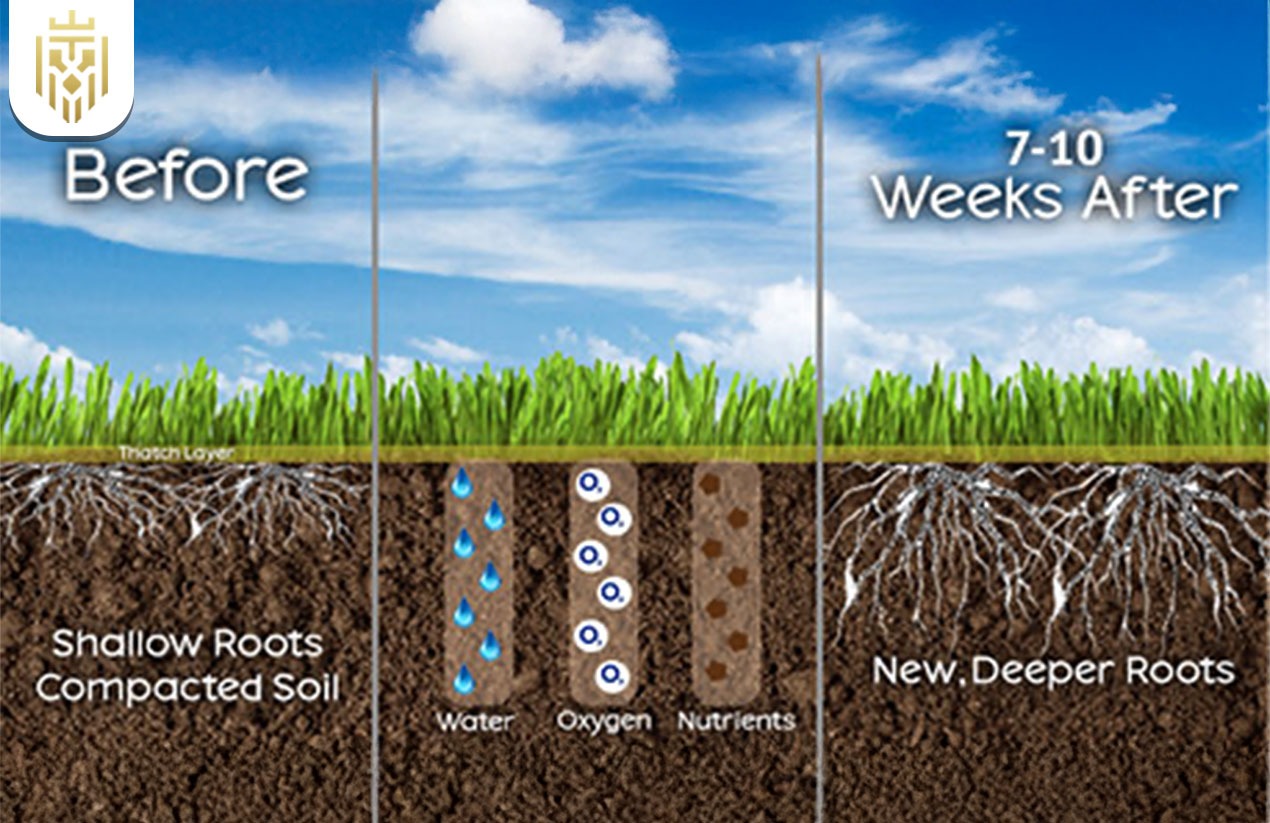 How to Dethatch a Lawn