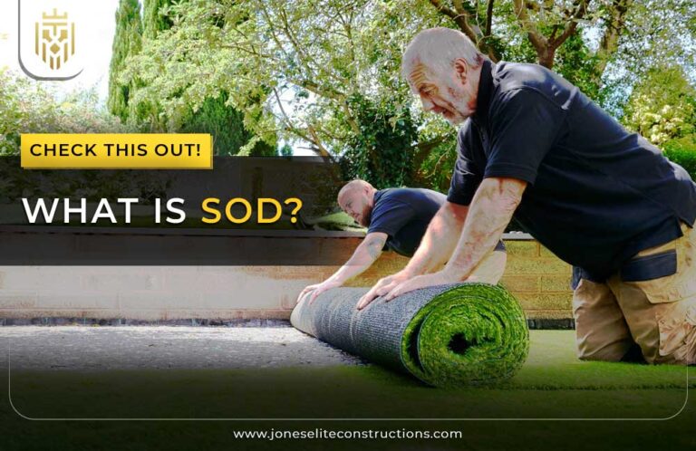 What is Sod
