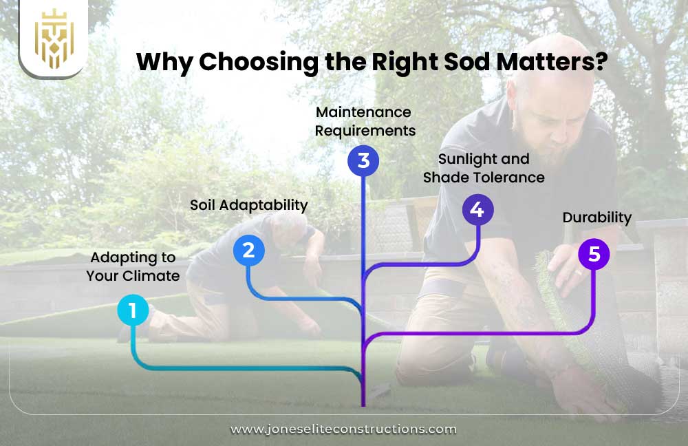 Why Choosing the Right Sod Matters