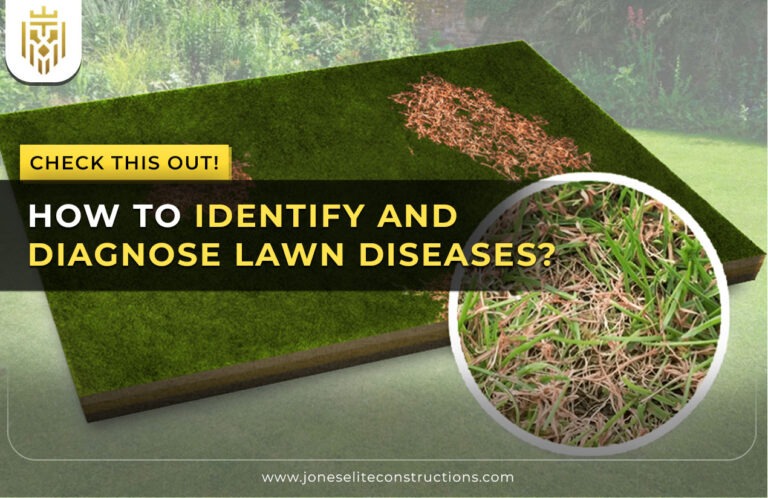 How To Identify and Diagnose Lawn Diseases