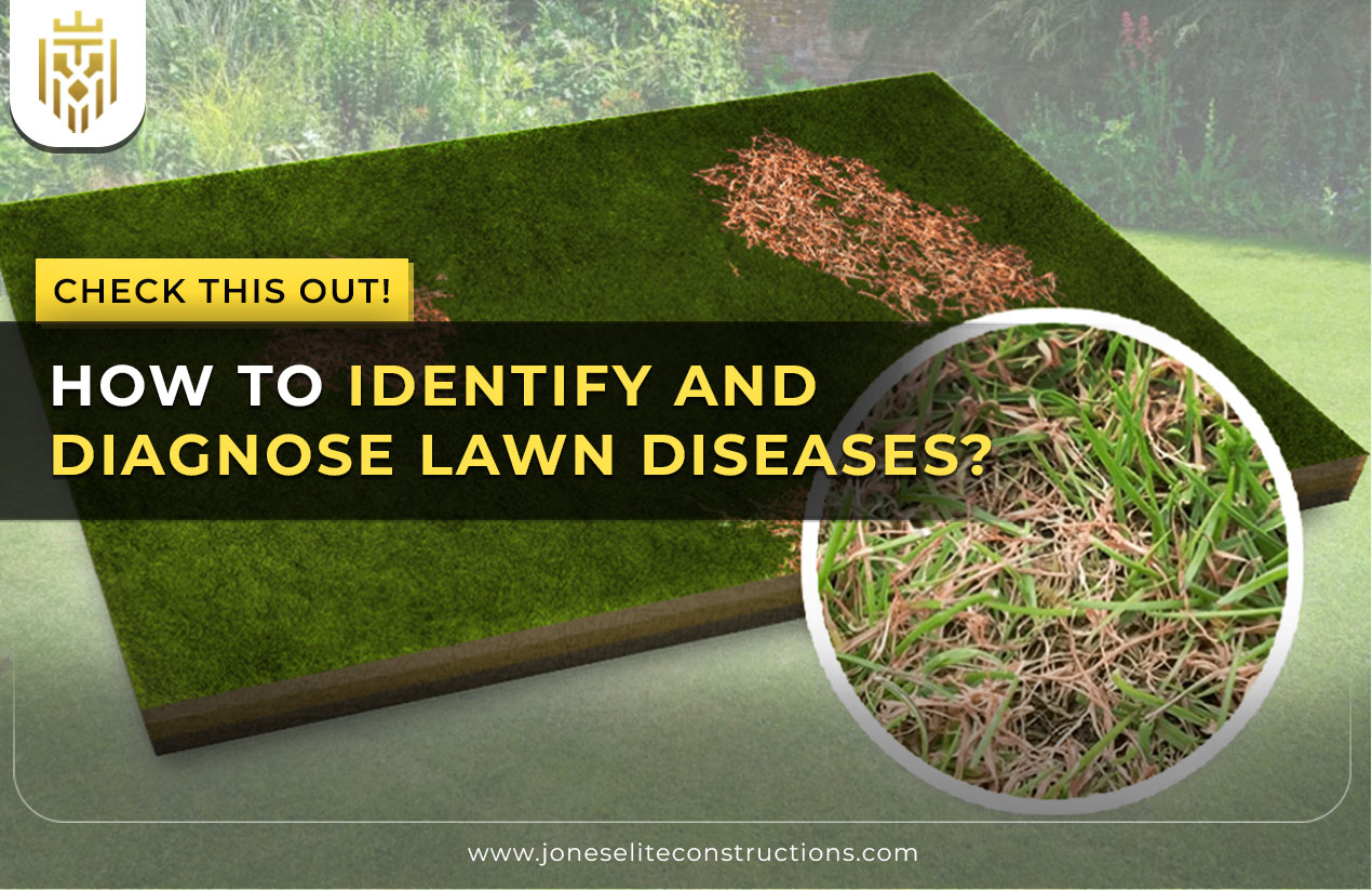 How To Identify and Diagnose Lawn Diseases