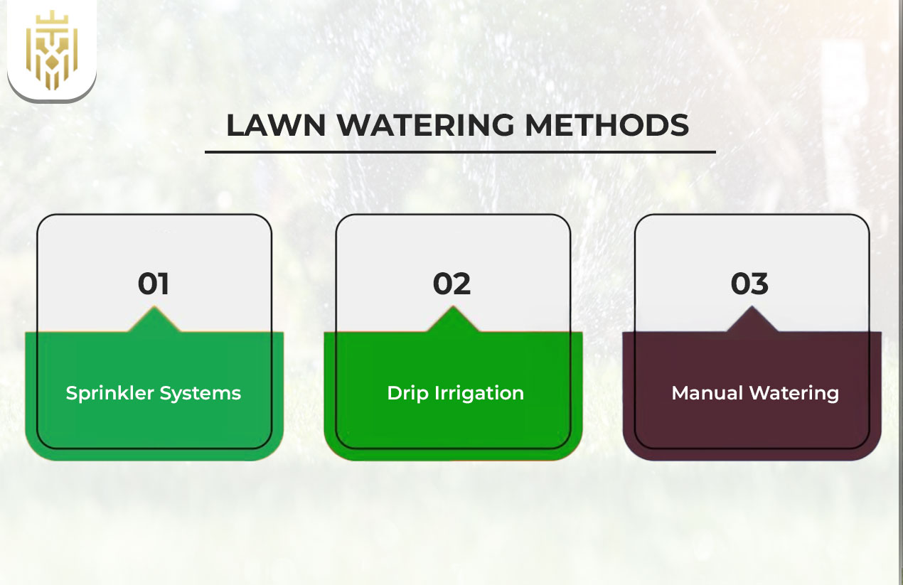 Lawn Watering Methods