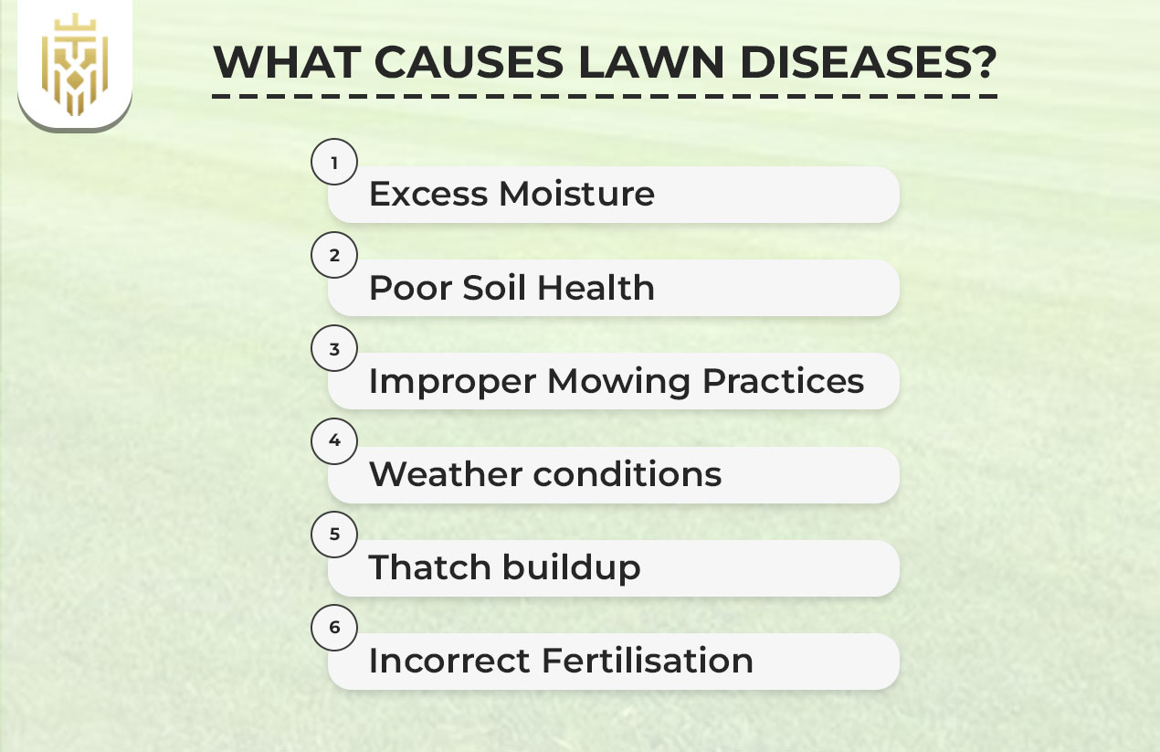 What causes lawn diseases