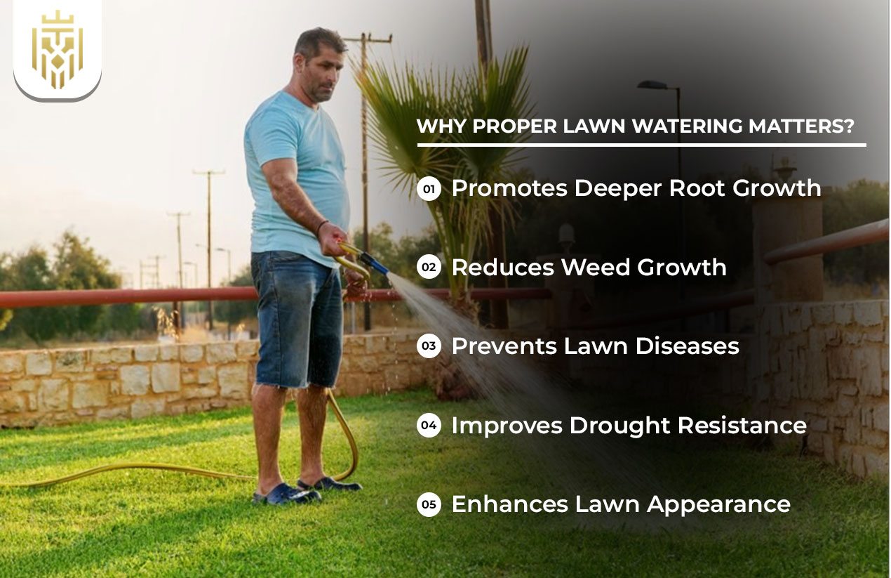 Why Proper Lawn Watering Matters