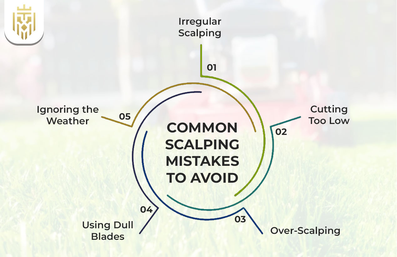 Common Lawn Scalping Mistakes to Avoid