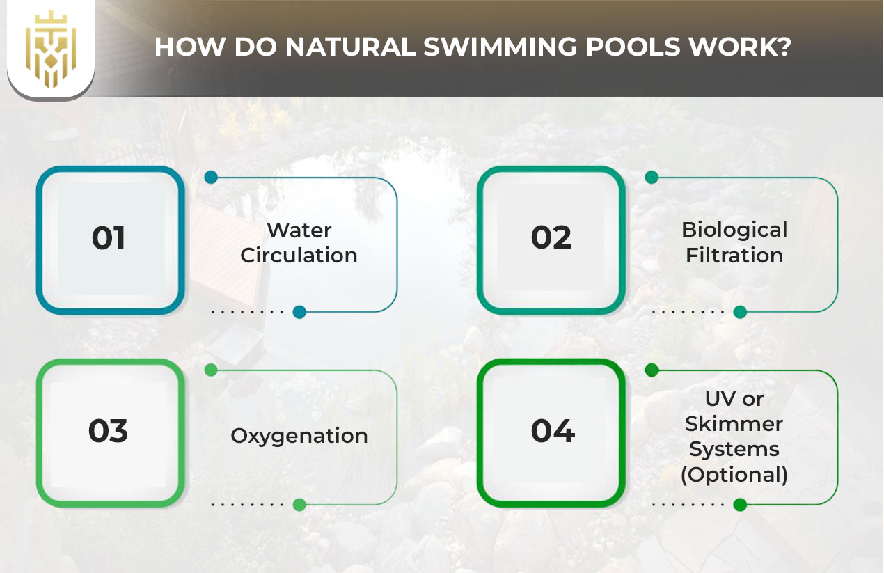 How Do Natural Swimming Pools Work