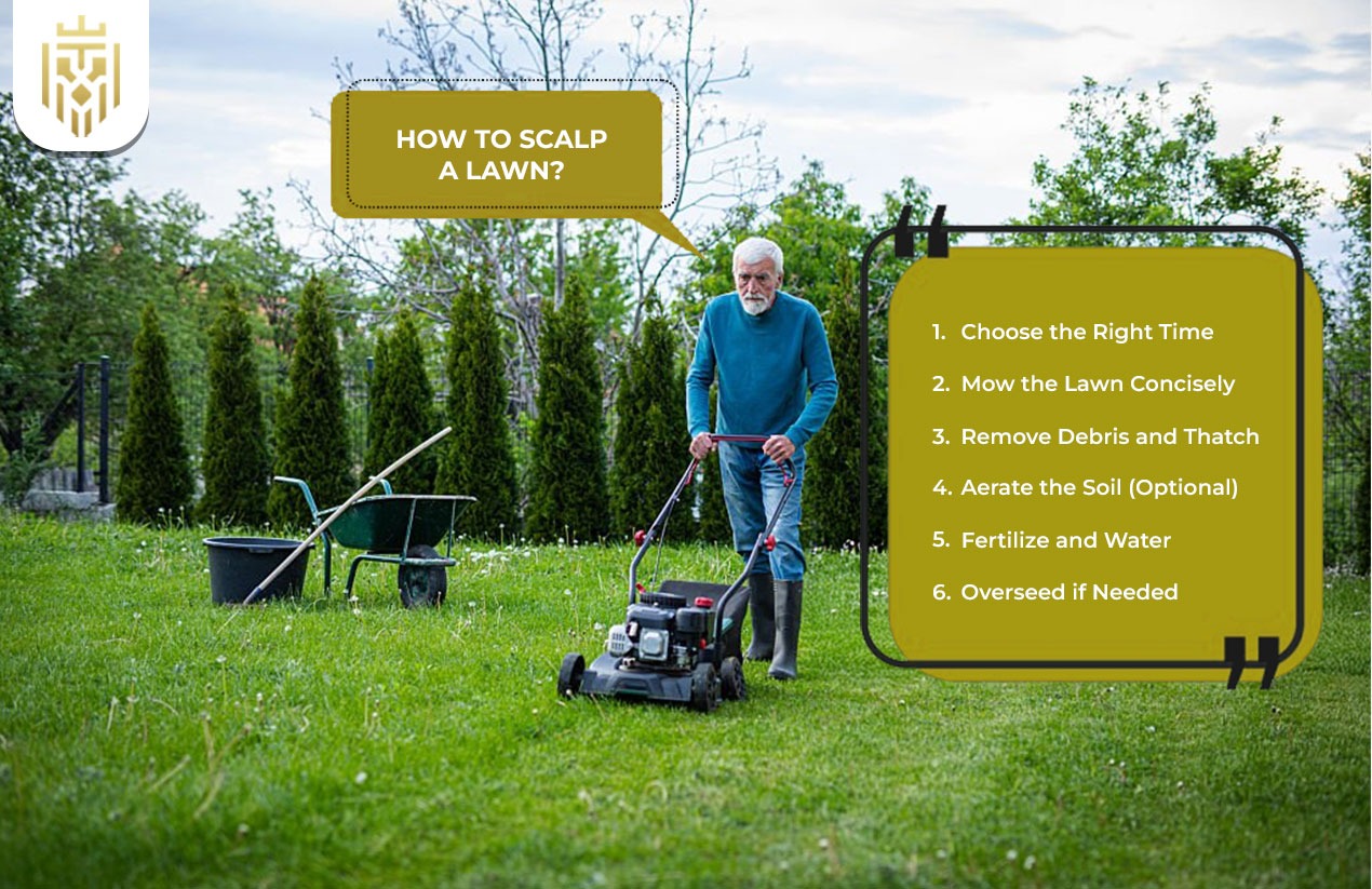 How to Scalp a Lawn