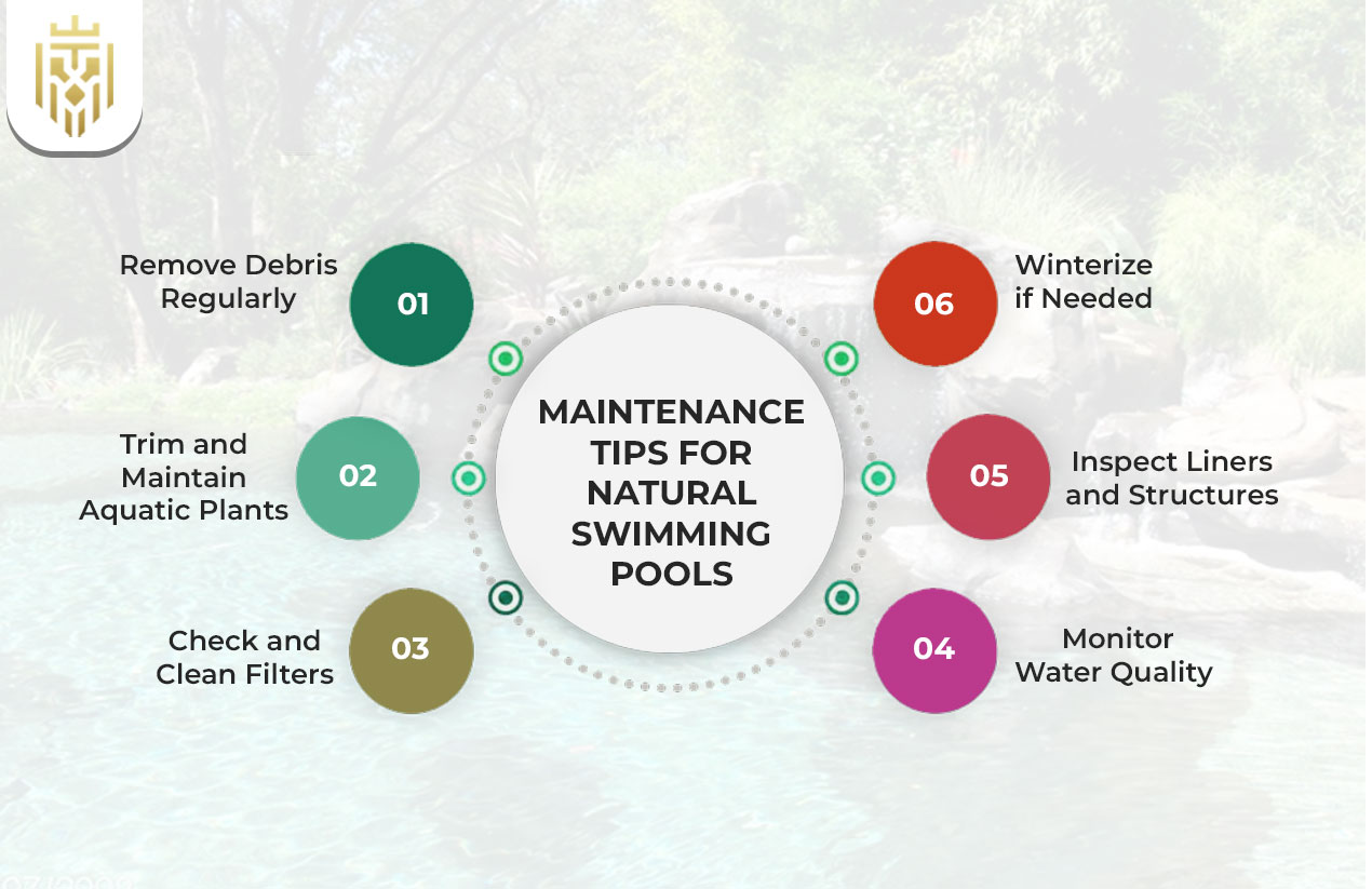 Maintenance Tips for Natural Swimming Pools