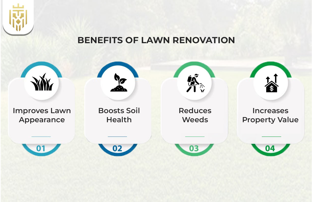 Benefits of Lawn Renovation