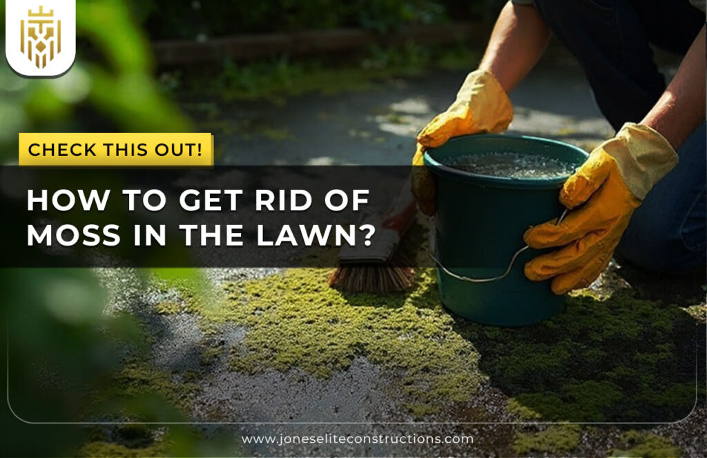 How To Get Rid of Moss In The Lawn