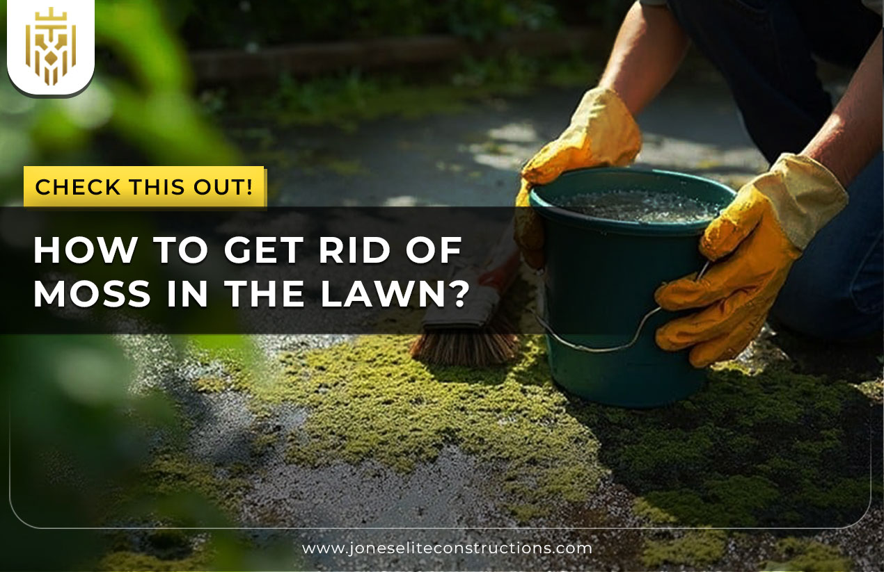 How To Get Rid of Moss In The Lawn