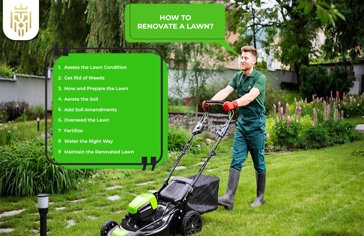 How to Renovate a Lawn