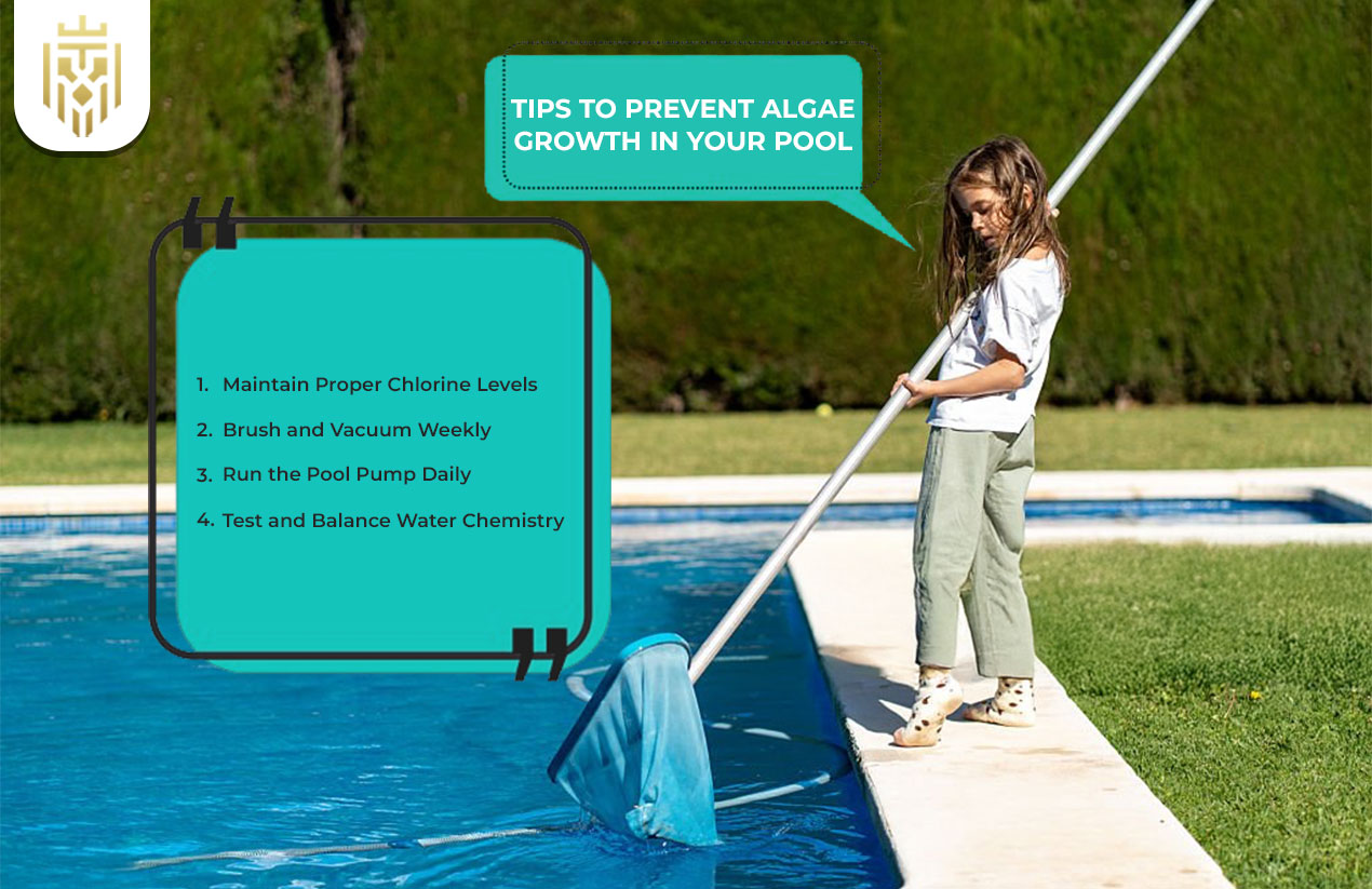 Remove Algae from Pool