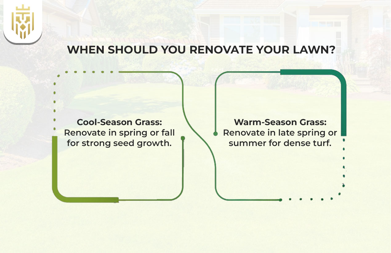 When Should You Renovate Your Lawn