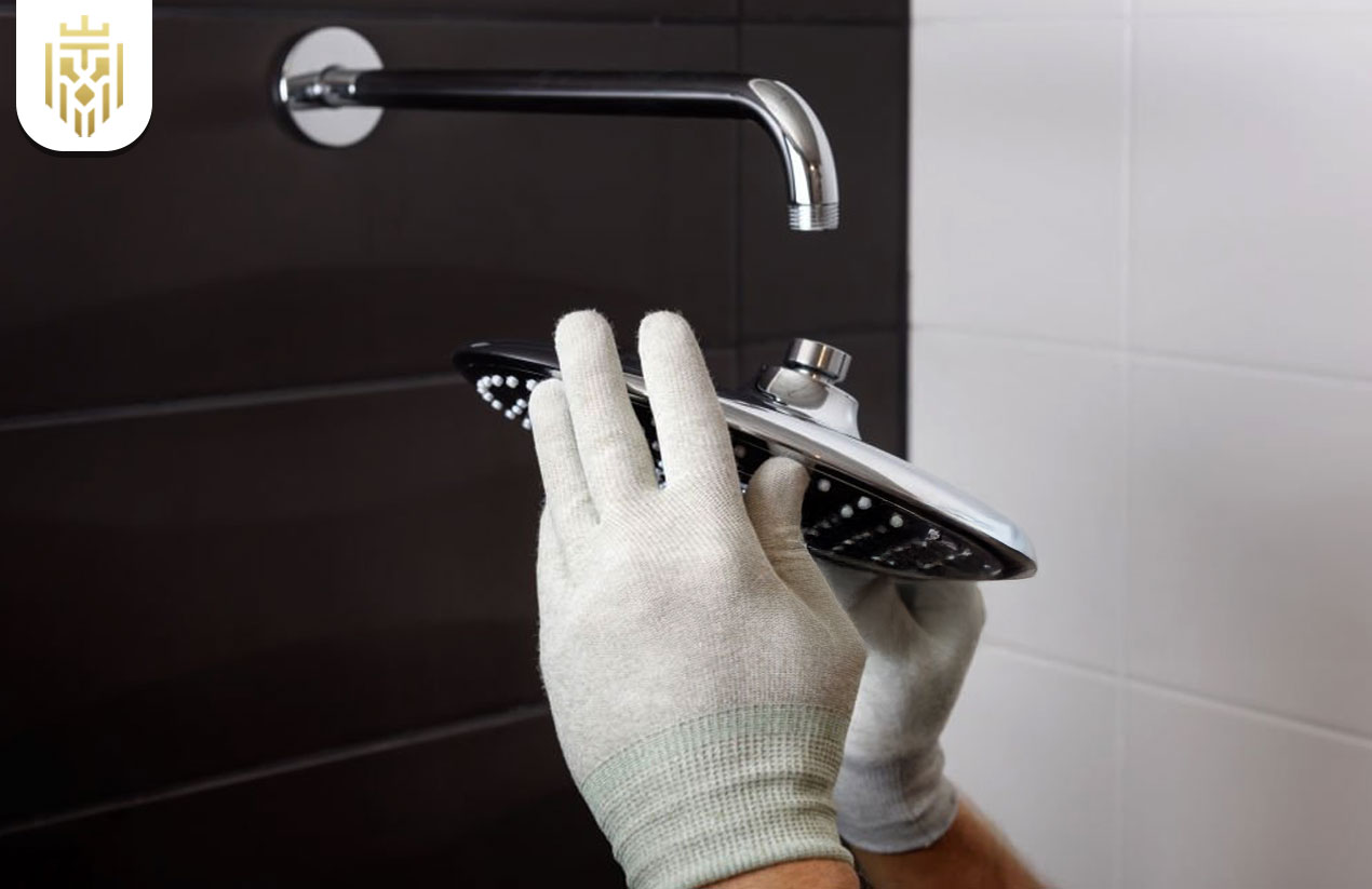 When to Replace Your Shower Head and Arm