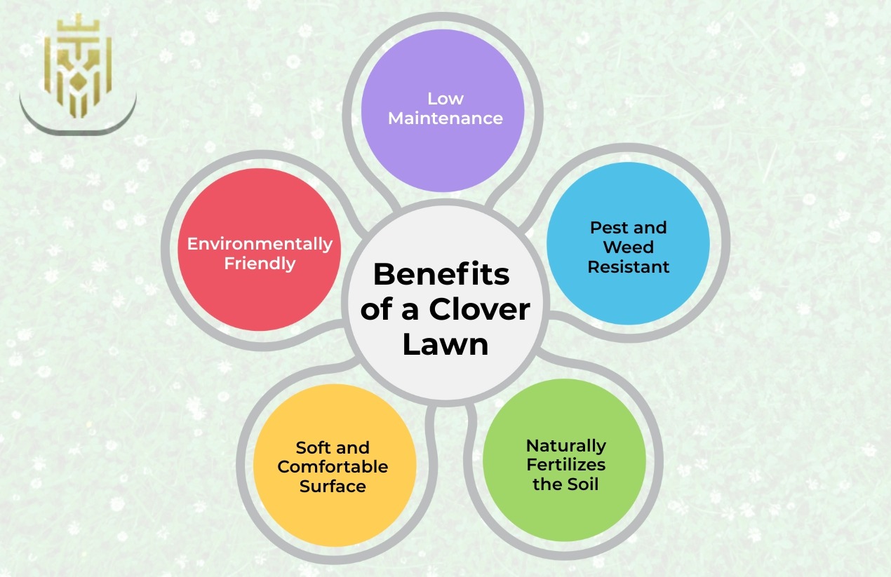 Benefits of a Clover Lawn