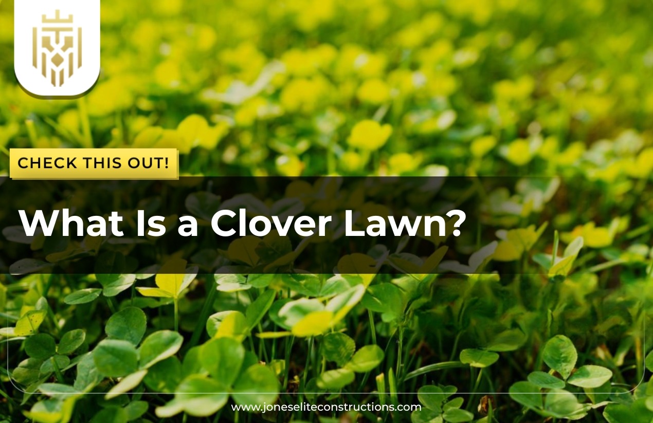 What Is a Clover Lawn
