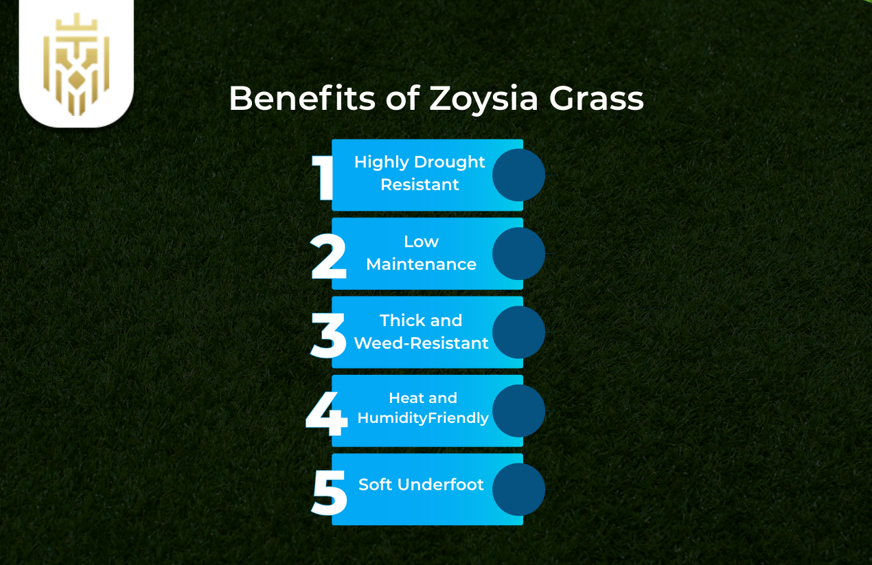 Benefits of Zoysia Grass