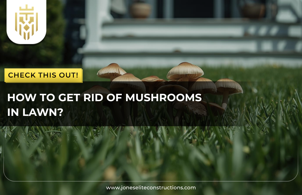 How To Get Rid Of Mushrooms In Lawn