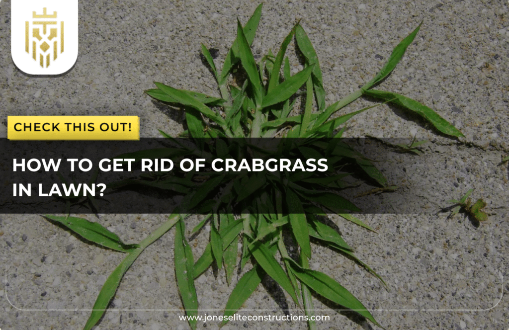 How To Get Rid of Crabgrass in Lawn