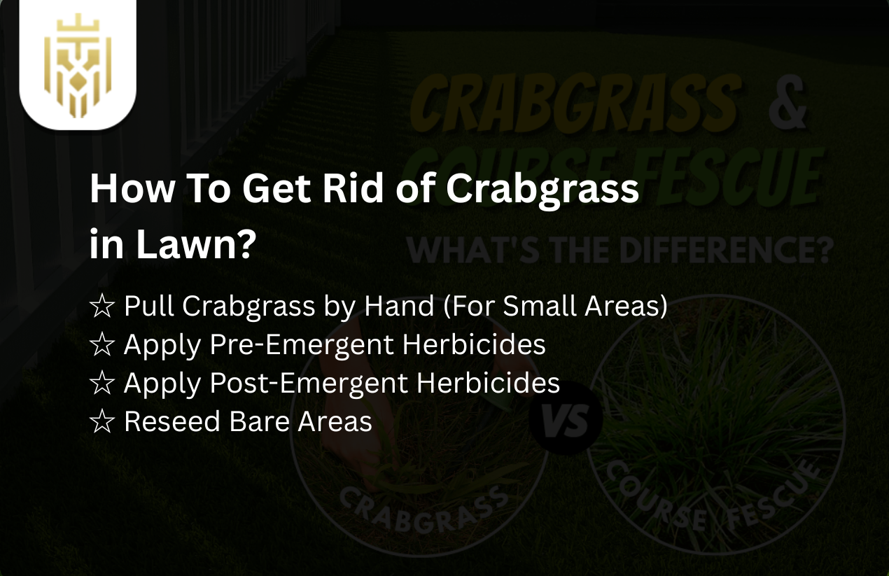 How To Get Rid of Crabgrass in Lawn - JEC