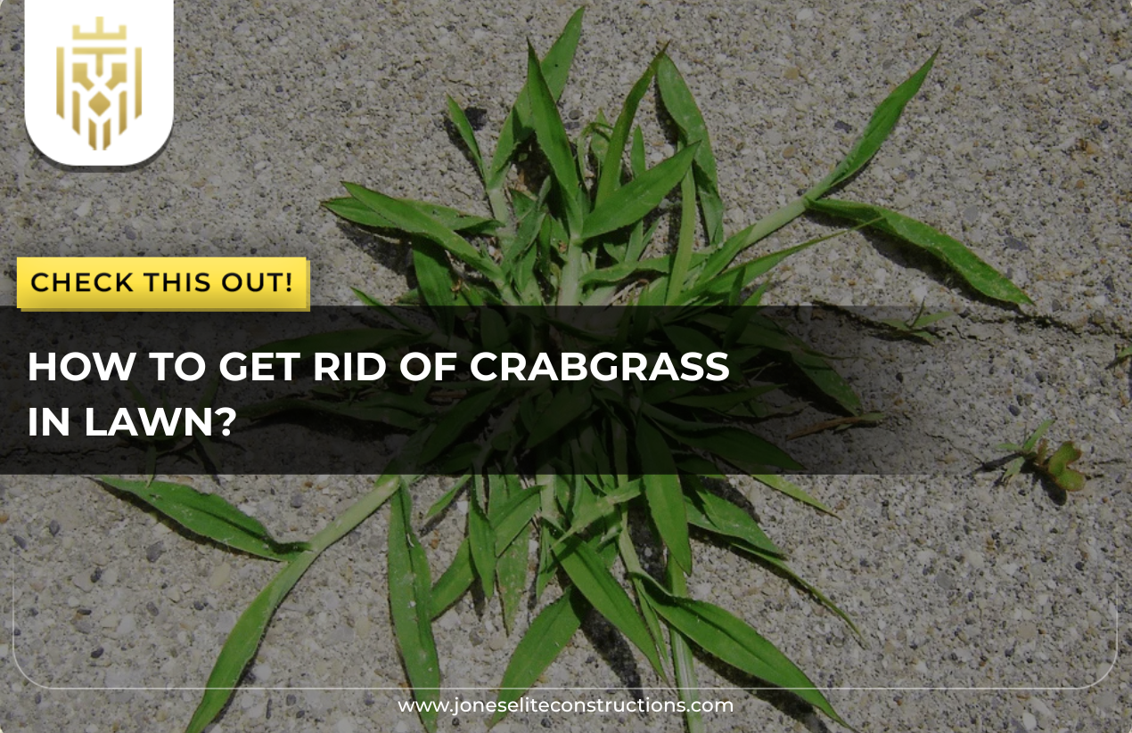 How To Get Rid of Crabgrass in Lawn