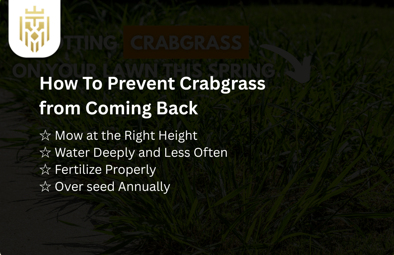 How To Prevent Crabgrass from Coming Back