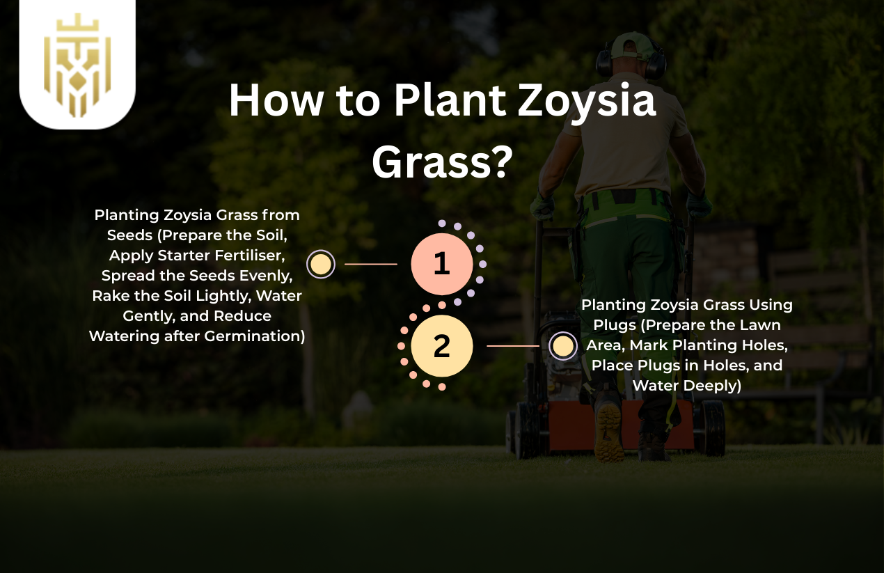 How to Plant Zoysia Grass