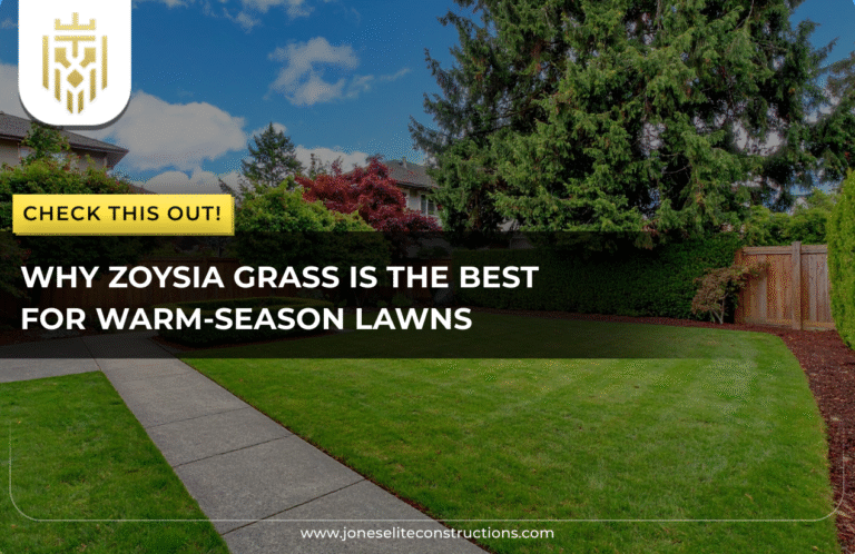 Why Zoysia Grass Is the Best for Warm-Season Lawns